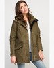 BURNT OLIVE (1264)