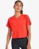 FLAME RED (2555)