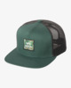 SPINACH (4848)