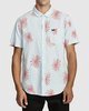 CORAL PINK (2188)