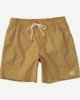 GOLDEN ROD (6962)