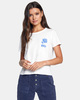 VINTAGE WHITE (1260)