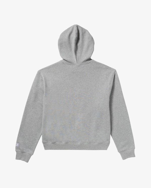 1 VA X Ali - Hoodie for Men Grey 23A413500 RVCA