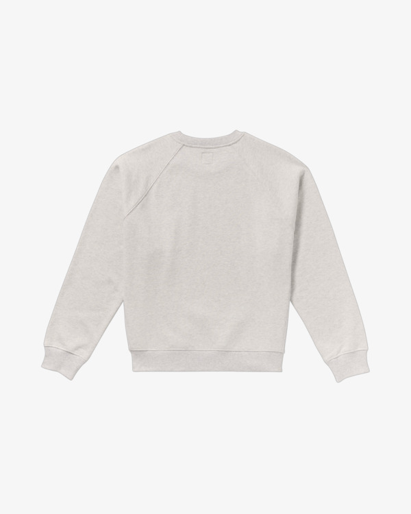 1 Dayshift 2 - Sweatshirt for Men Grey 23A463510 RVCA