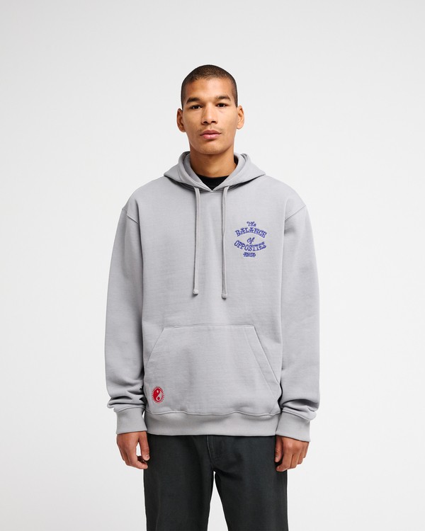 2 Snake Blau EVYSF00177 RVCA