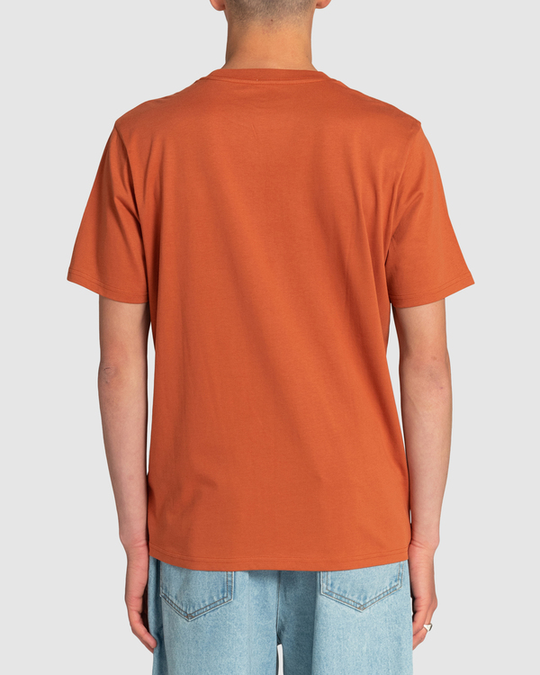 3 Small VA All The Way - T-Shirt für Männer Braun EVYZT00109 RVCA