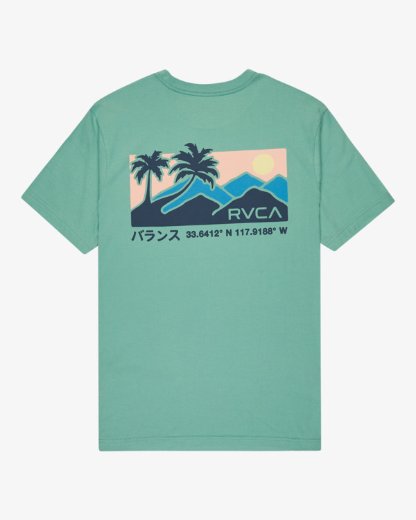1 Palm Trail - T-Shirt für Männer Grau EVYZT00272 RVCA