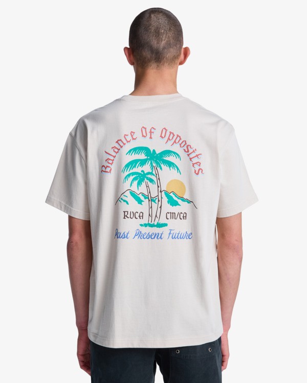 6 Frond Mural - T-Shirt f&uuml;r M&auml;nner Grau EVYZT00335 RVCA