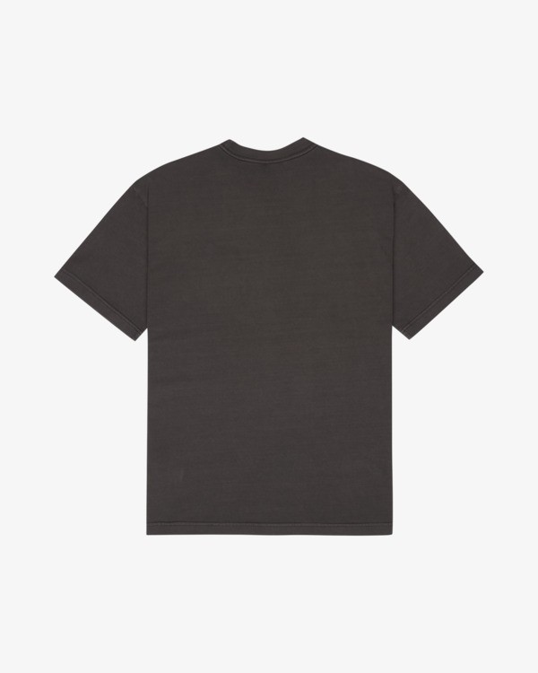 0 Ptc 2 Pigment Brown EVYZT00370 RVCA