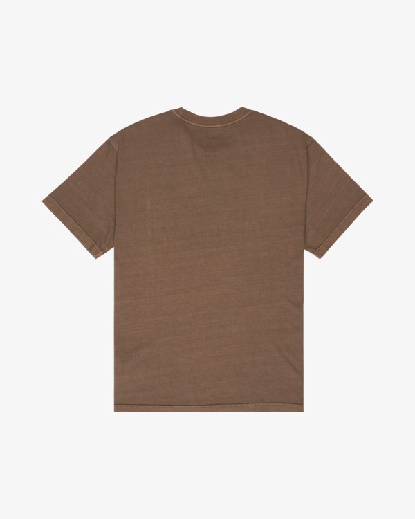 0 Ptc 2 Pigment Brown EVYZT00370 RVCA