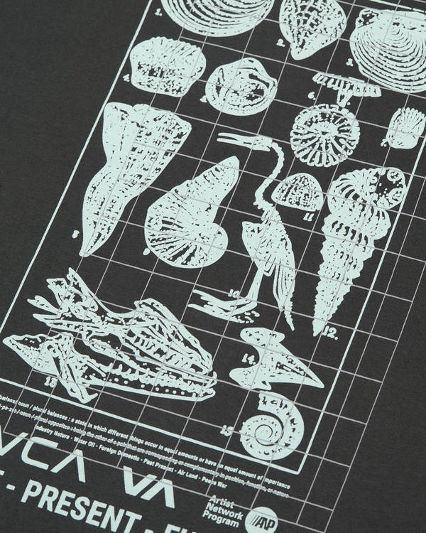 3 Crustaceous Braun EVYZT00384 RVCA