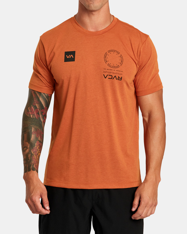 0 VA Mark - T-shirt pour Homme Marron F4SSMFRVF2 RVCA