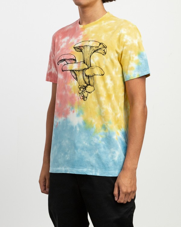 2 Sage Vaughn - T-Shirt à manches courtes pour Homme  N1KTRMRVP9 RVCA