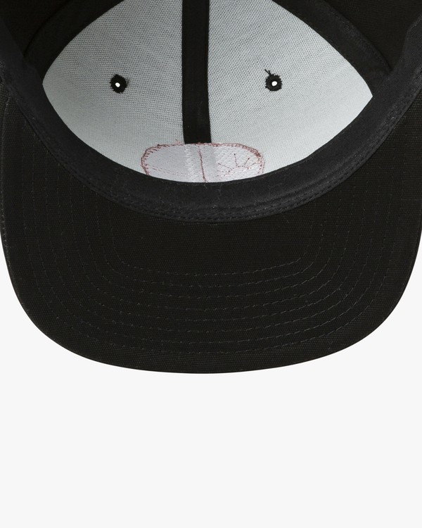 2 Tropics - Snapback Cap for Men  P5CPRGRVS9 RVCA