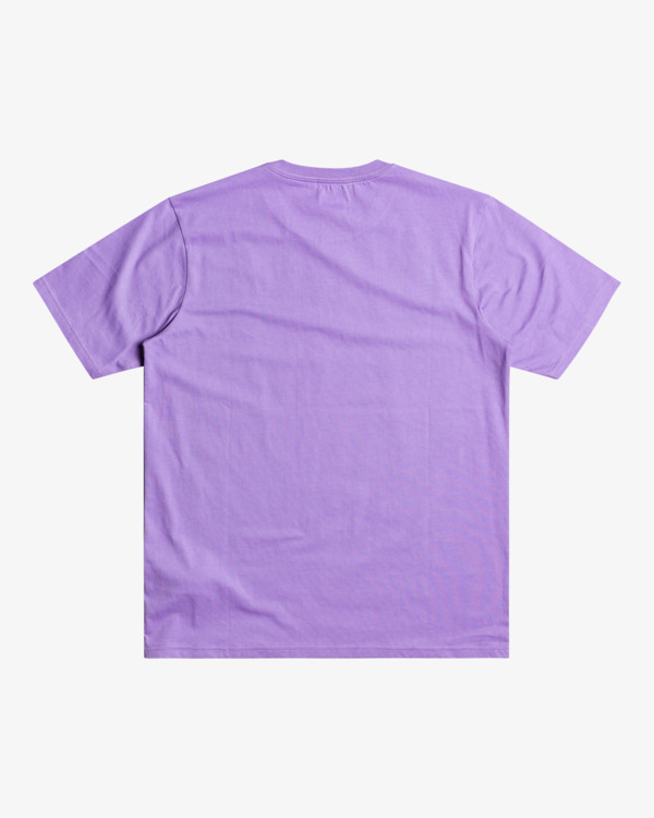 1 Big RVCA - T-Shirt for Men Purple S1SSRPRVP0 RVCA
