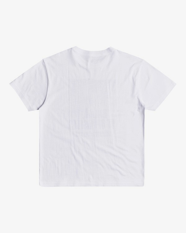 1 Split Truth - T-Shirt for Men White W1SSRARVP1 RVCA