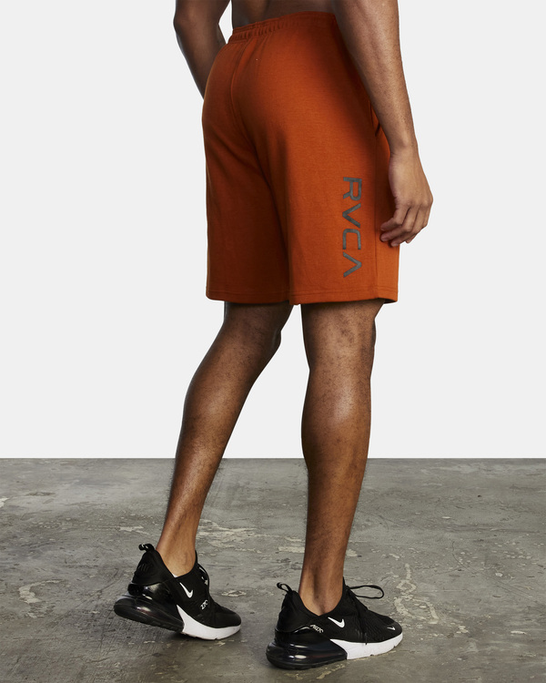 4 VA Sport IV 17" - Bermuda performance da Uomo Brown W4WKMIRVP1 RVCA